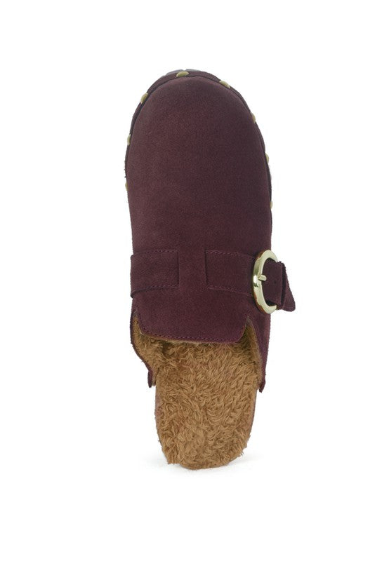 Prunus Buckled Women's Suede Round Toe Mule Clogs